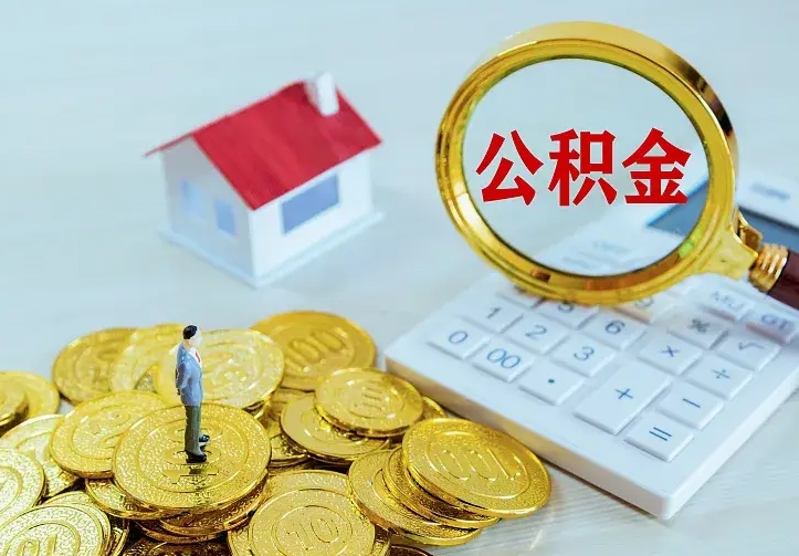 冷水江公积金有几种方法提取（成公积金提取）